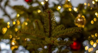 Close up of Christmas tree with gold lights and red baubles