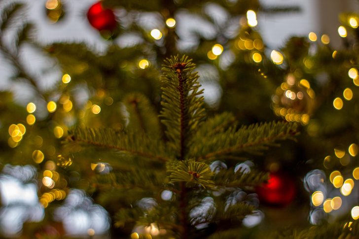 Close up of Christmas tree with gold lights and red baubles