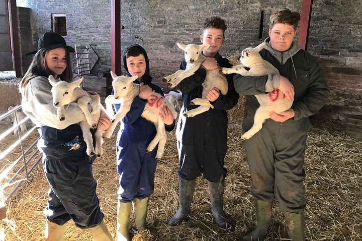 four children in a barn holding a lamb each