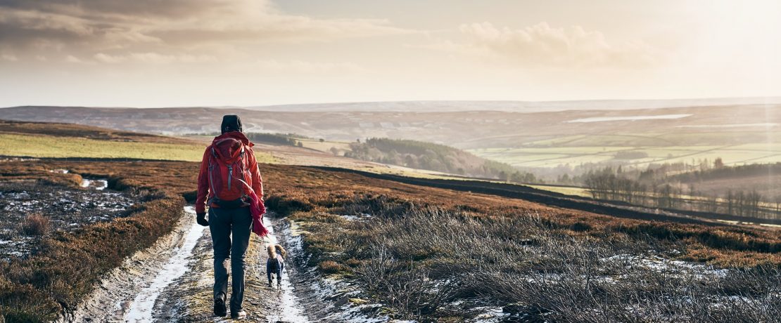 a woman walking a dog on frosty moorland with hills on the horizon