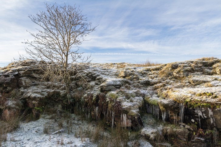 a frosty riverbank with hanging icicles