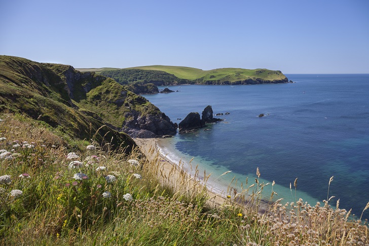 Costal countryside with wildflowers in the foreground and a sandy beach, sea and rocky coves beyond