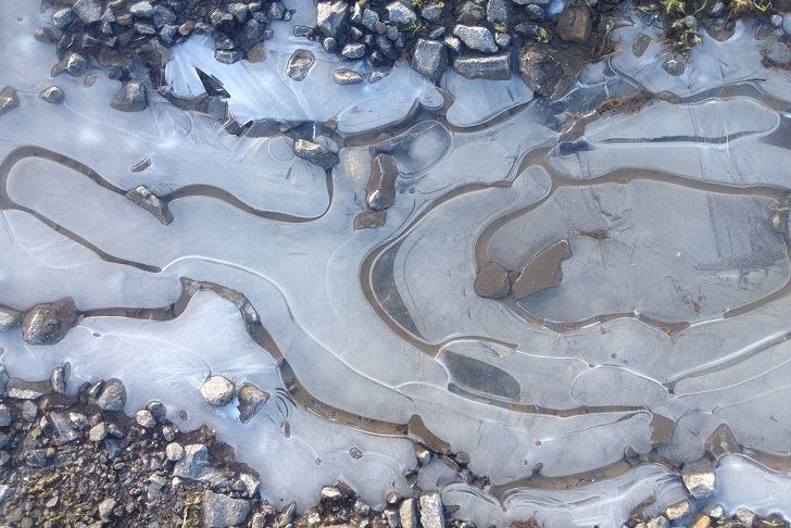 Swirling ice patterns on a muddy puddle surrounded by pebbles