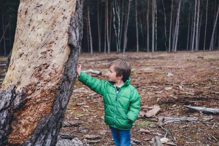 A small blue in a bright coat touches a tree