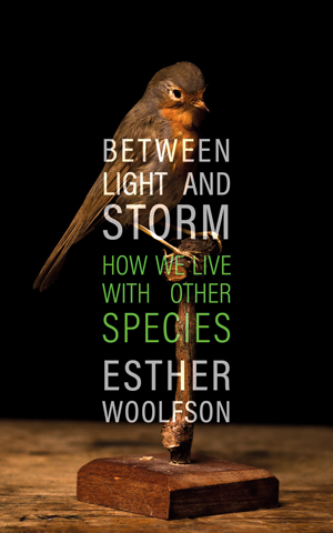 A book cover showing a robin on a perch with a dark backdrop