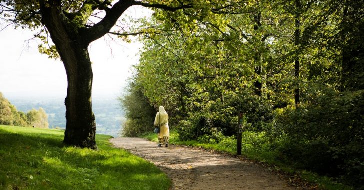 Woman in headscarf on path among trees walking away from camera