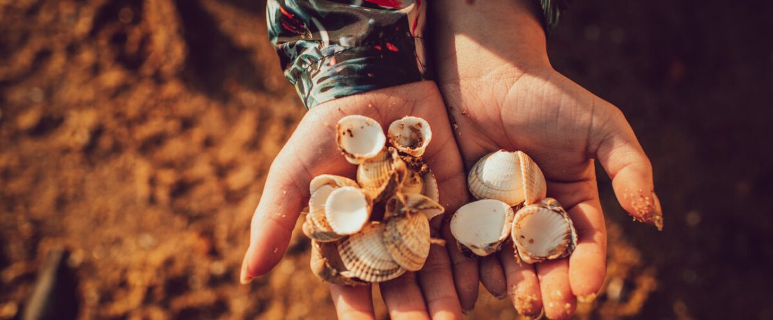 Girls' hands holding seashells