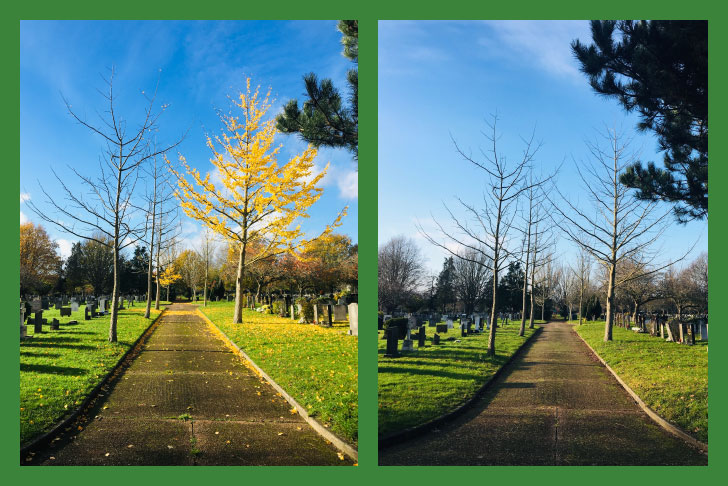 Shot of a churchyard taken in the same place weeks apart, with trees changing colour