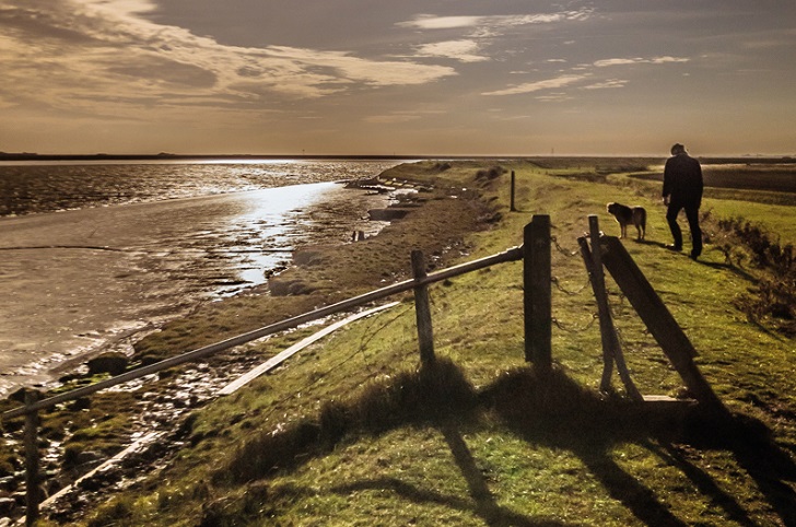 A man walking a dog on a grassy coastal bank in low light
