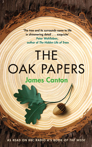 book cover showing a the rings of a tree trunk and an oak leaf and acorn