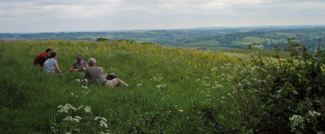 Four people lie in a grassy meadow with a view