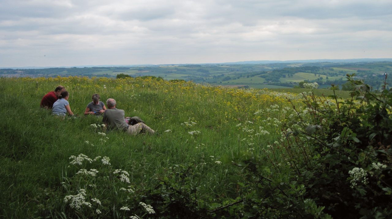 Four people lie in a grassy meadow with a view