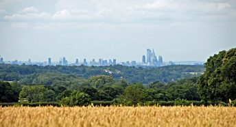 A view of London's skyline from a wheat field