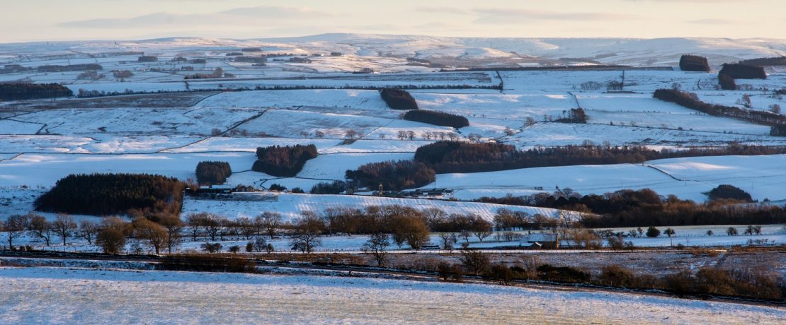 A snowy upland landscape with woodland areas visible in the distance