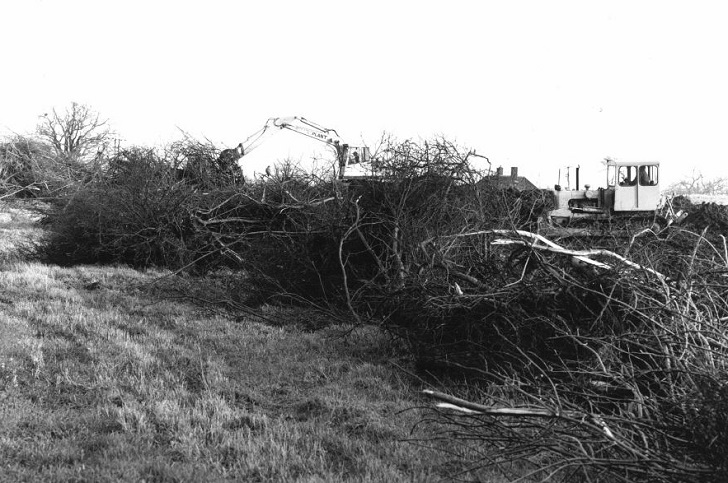 hedgerows being destroyed by tractors