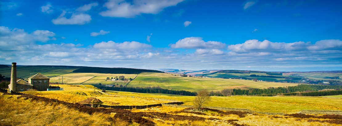 A panoramic view of heathland with a bright blue sky