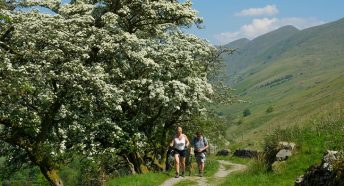 two walkers in summer on a hillside footpath alongside blossoming trees