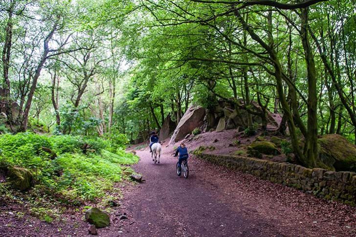 A person on a horse and a person on a bike travel along a wooded path