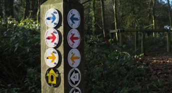 A wooden post with various coloured arrows for different footpaths