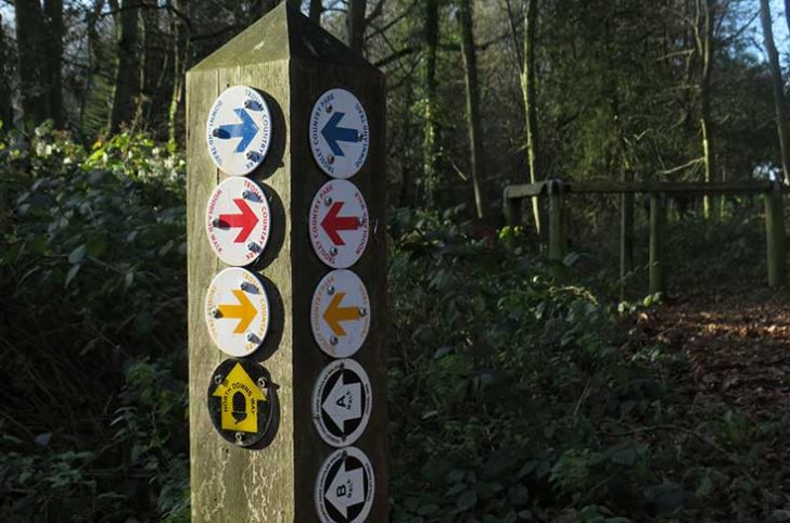 A wooden post with various coloured arrows for different footpaths