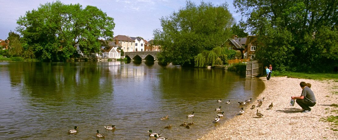 Families feeding river birds in a rural town