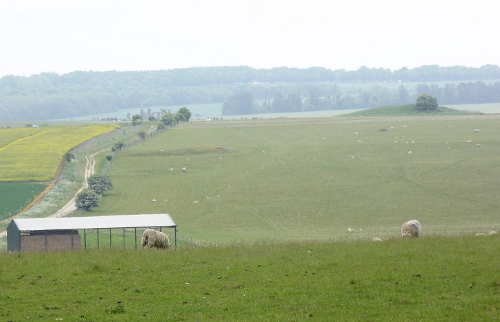 A view of an ancient mound and monument with sheep in the foreground
