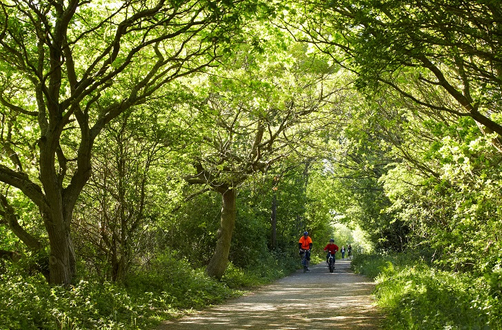 Two cyclists on a path through woods