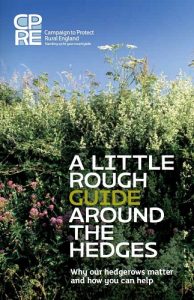 A leaflet cover showing a hedgerow and blue sky