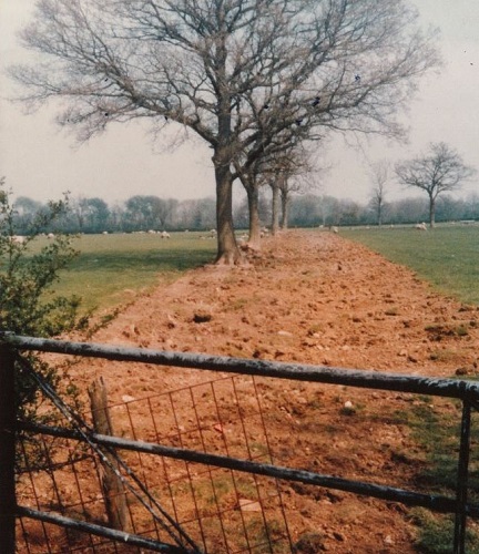 a muddy trench gouged into a green field
