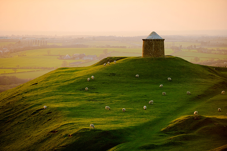 The Dassett Hills with sheep grazing