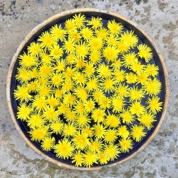 Yellow flowers in a bowl on stone paving