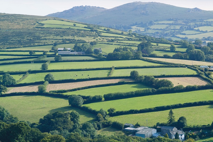 A green hilly landscape criss-crossed by hedgerows