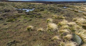 Storm clouds passing over the windswept peat bog moorland plateau