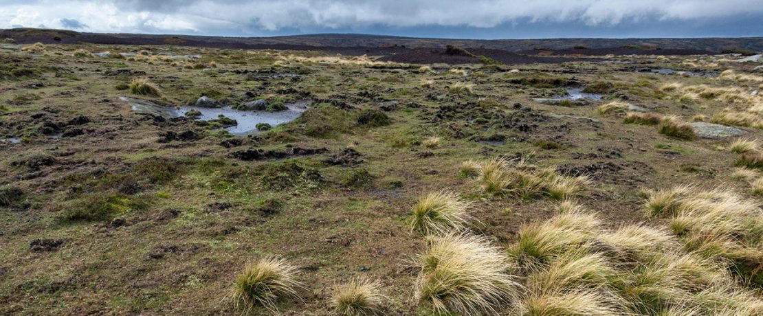 Storm clouds passing over the windswept peat bog moorland plateau of Kinder Scout, Derbyshire, Peak District National Park, England, UK