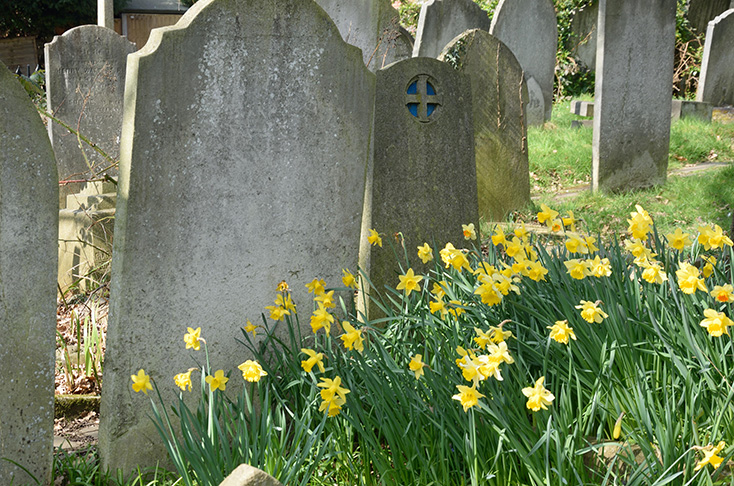 graveyards provide accessible green spaces for those with mobility issues