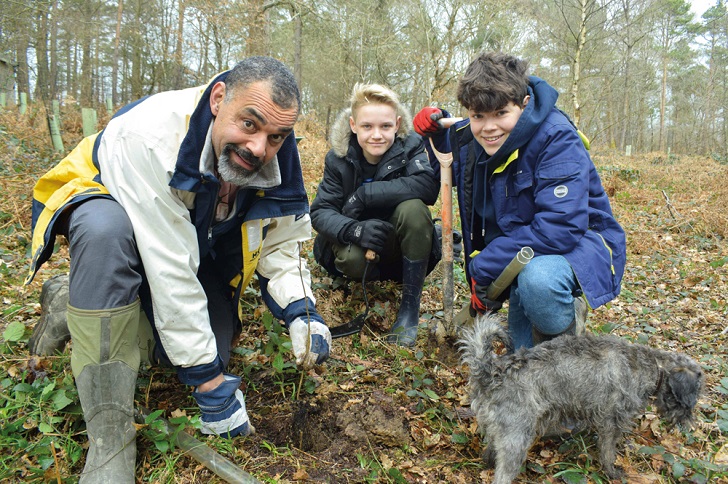 A man and two boys planting trees with a dog