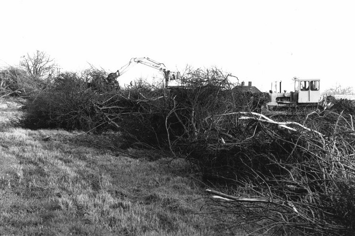 Black and white image of hedgerows being bulldozed