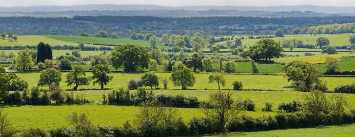 a panoramic landscape of hedgerows, trees and pasture