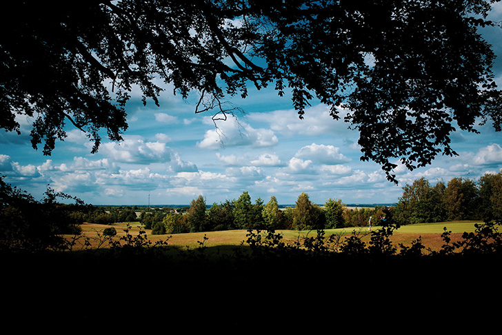 Wandlebury Hill in Cambridgeshire with a silhouetted tree framing the view