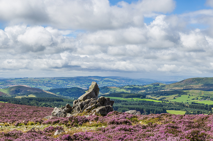 the view from the stiperstones in lancashire