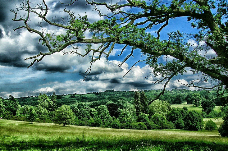 lovely rural view from Kent