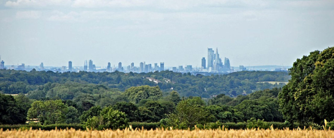 North Downs Green Belt
