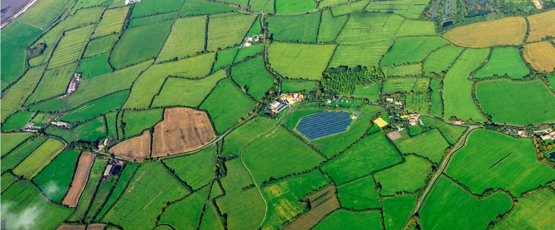 An aerial view of bright green fields with hedgerows around the edges