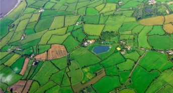 An aerial view of bright green fields with hedgerows around the edges