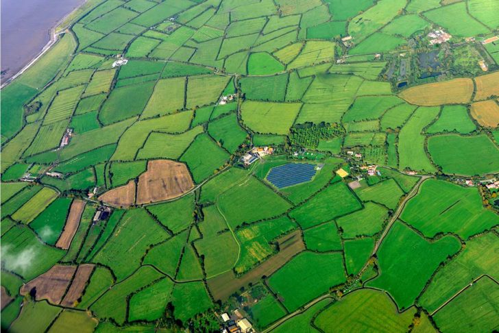 An aerial view of bright green fields with hedgerows around the edges