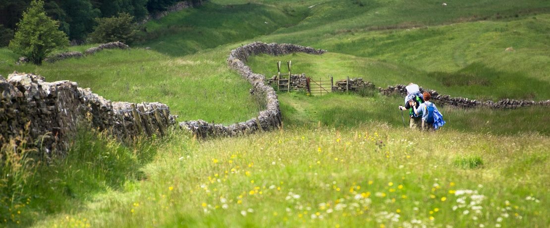 Two walkers in a meadow by a stone wall on undulating land