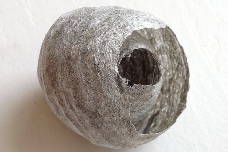 a white ball-like nest with a hole in it