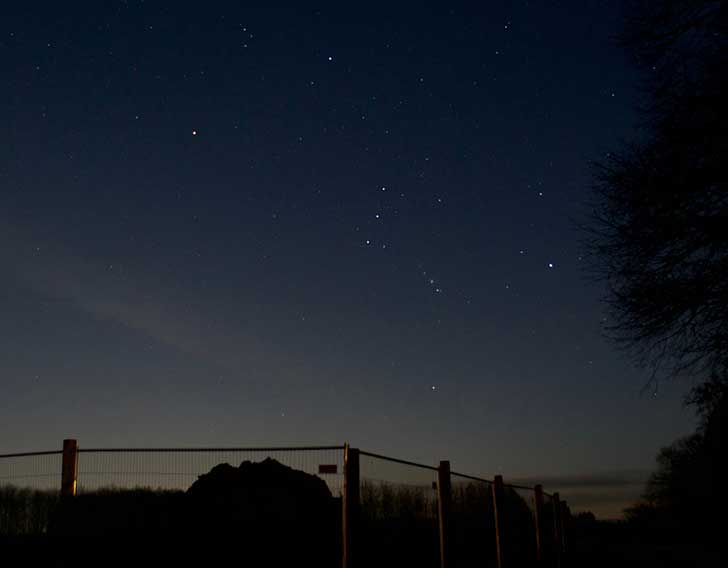A dark sky above a silhouetted fence, with a constellation visible