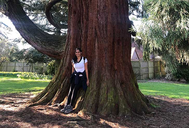 A young woman stands at the foot of a large red tree