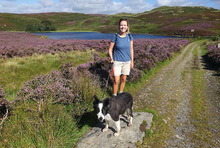 A young woman walking a border collie with purple heather around the path